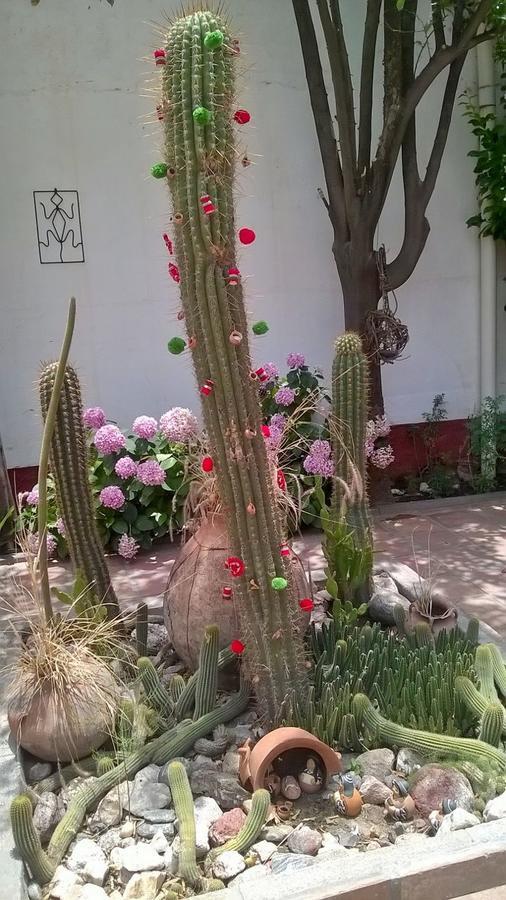 Hostal Tierra De Vinos Cafayate Ngoại thất bức ảnh